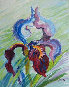 Fleur L'Iris bleu
